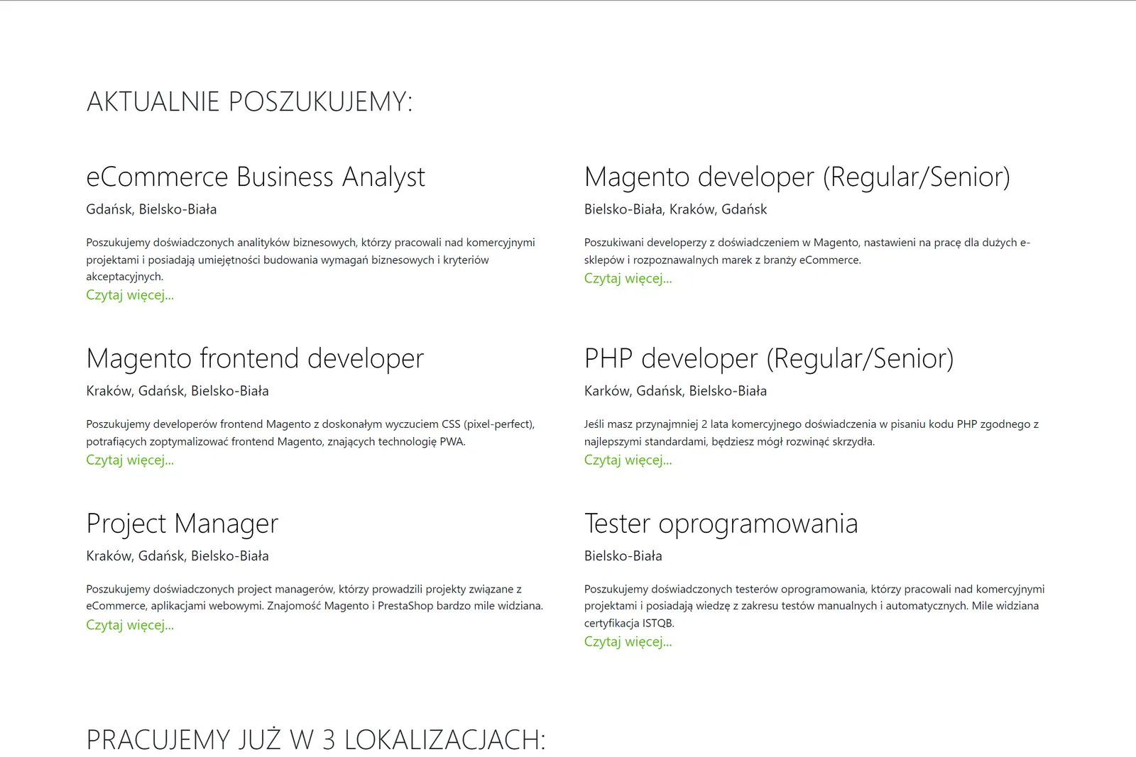 LizardMedia.pl - services section